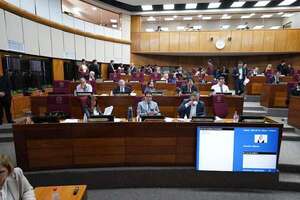 Postergan crear comisión cartista para el garrote en el Senado - Política - ABC Color