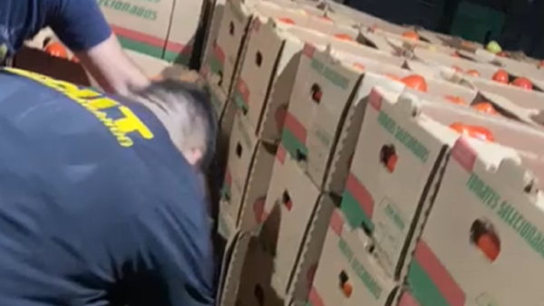 Agentes anticontrabando incautan más de 14.000 kilos de tomate en depósito de Areguá