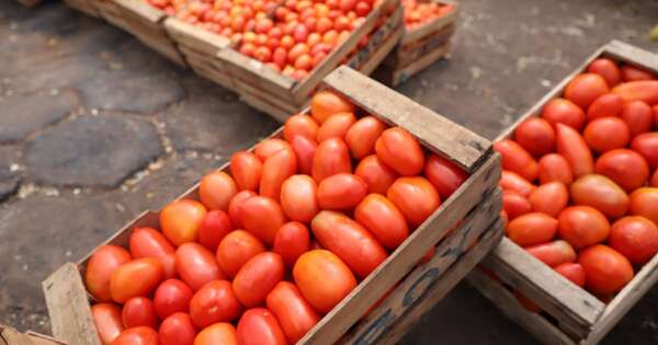 Diario HOY | Tomate de contrabando en Areguá: incautan carga por G. 150 millones