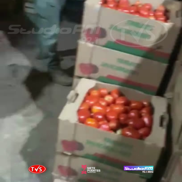 AGENTES ANTICONTRABANDO INCAUTAN MÁS DE 14.000 KILOS DE TOMATE EN DEPÓSITO DE AREGUÁ - TVS