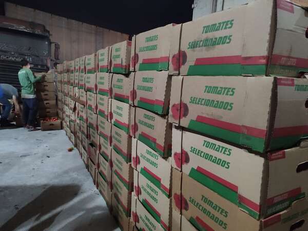 Incautan más de 14 toneladas de tomate en Areguá - Policiales - ABC Color