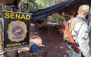 SENAD allana una estancia por producción de marihuana en Amambay