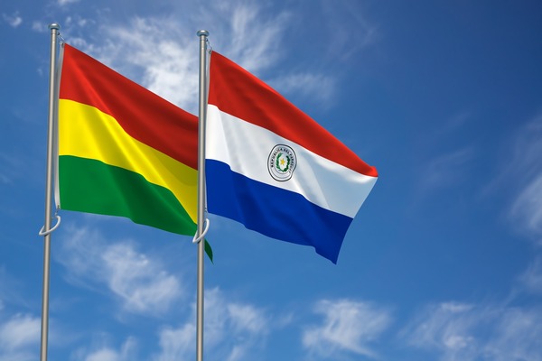 Exportaciones paraguayas a Bolivia alcanzaron USD 102,3 millones en 2023 - MarketData