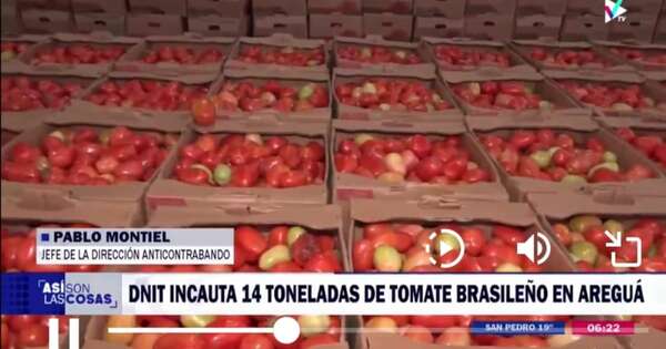 La Nación / Incautan 14 toneladas de tomate por valor de G. 150 millones