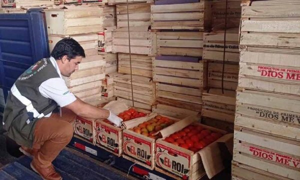 Incautan más de 14.000 kilos de tomate de contrabando que se pretendía vender como producción nacional – Prensa 5