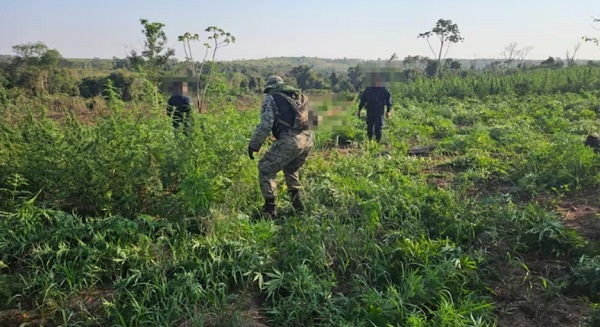 Operativo “Jeporeka” avanza en la Reserva Natural del Mbaracayú