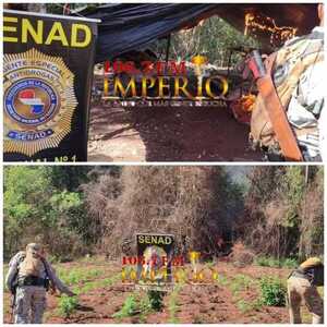 Senad destruye 1.800 kilos marihuana prensada que estaba escondida bajo tierra