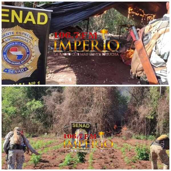Senad destruye 1.800 kilos marihuana prensada que estaba escondida bajo tierra
