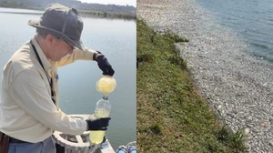 Allanan planta de tratamiento de Essap ante mortandad de peces en Coronel Oviedo - Noticiero Paraguay