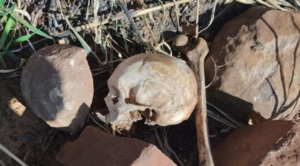 Tractorista halla restos óseos en una estancia en Amambay