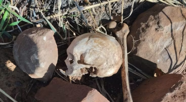 Tractorista halla restos óseos en una estancia en Amambay