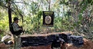 La Nación / Descubren y destruyen droga enterrada en campamento en Amambay