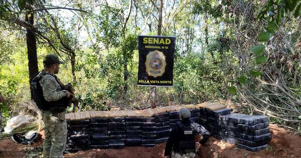 La Nación / Descubren y destruyen droga enterrada en campamento en Amambay