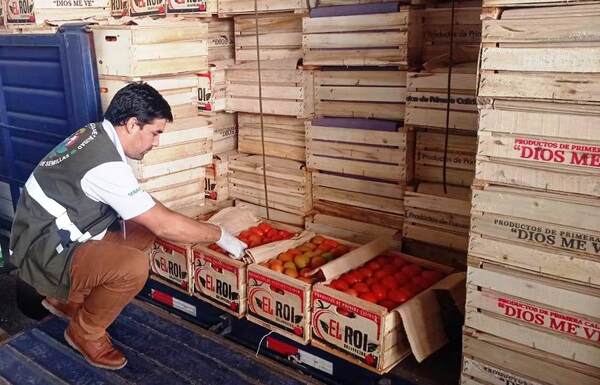 En Areguá incautan 14.000 kilos de tomate de contrabando •