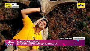 Video: furor por el Ykua ‘’milagroso’' ubicado en Itapúa - Ensiestados - ABC Color