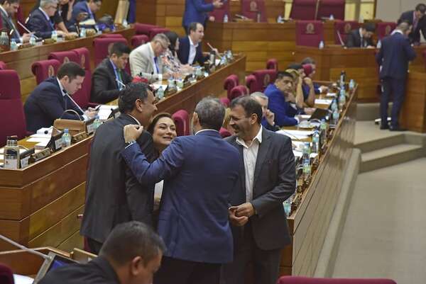 Reculan, por ahora, con el plan de crear más comisiones en Diputados - Política - ABC Color
