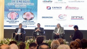 Energía al Brasil: Hoy se abrirán sobres de empresas oferentes