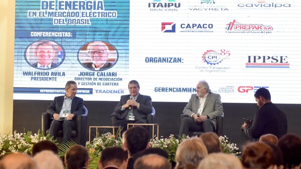 Energía al Brasil: Hoy se abrirán sobres de empresas oferentes