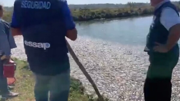 Crimen ambiental: Intervienen pileta de Essap, plagada de peces muertos