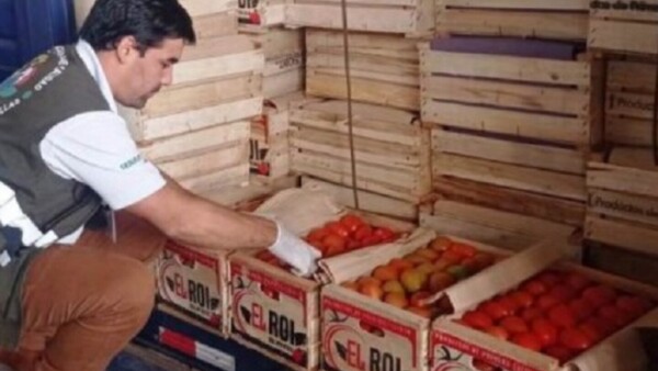 Sospechan mezcla de tomates de contrabando con producción local