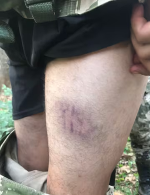 Subteniente habría agredido a varios cadetes del COMISOE