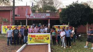 Pobladores se declaran en pie de guerra contra productores brasileños de soja - Nacionales - ABC Color