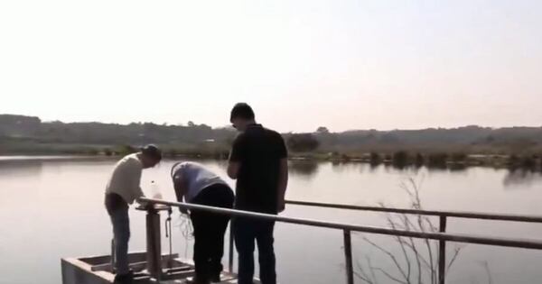 La Nación / Oviedo: titular de Essap no descarta que vertido de químico haya provocado mortandad de peces