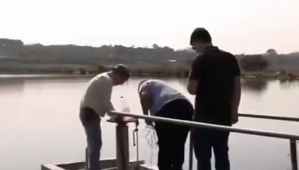 Titular de Essap no descarta que vertido de químico haya provocado mortandad de peces - Noticiero Paraguay