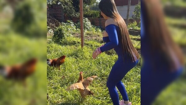 Ma'éna! Laurys dijo que gallo le puso los cuernos a su gallina Hortensia