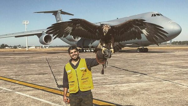 Águila custodiará el Aeropuerto Silvio Pettirossi