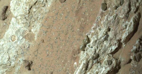 La Nación / Explorador de la NASA descubre roca en Marte que puede contener vida microscópica antigua