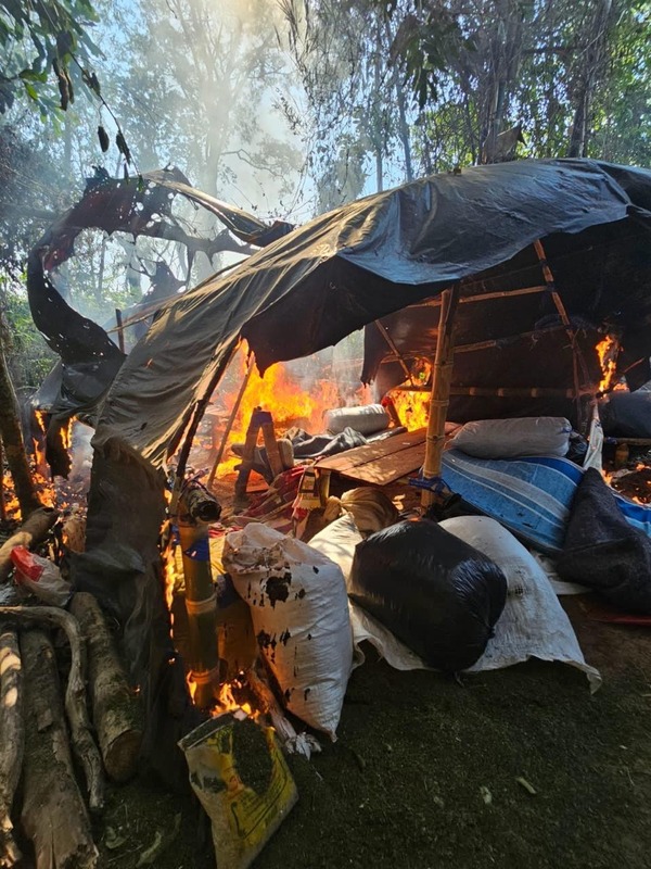 Incautan casi 3.000 kilos de marihuana mediante Operativo Jeporeka en Canindeyú - ADN Digital