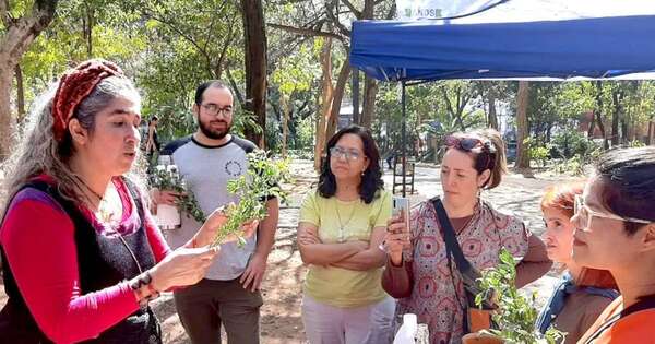 La Nación / Hoy en plaza Italia enseñarán a preparar el popular carrulim