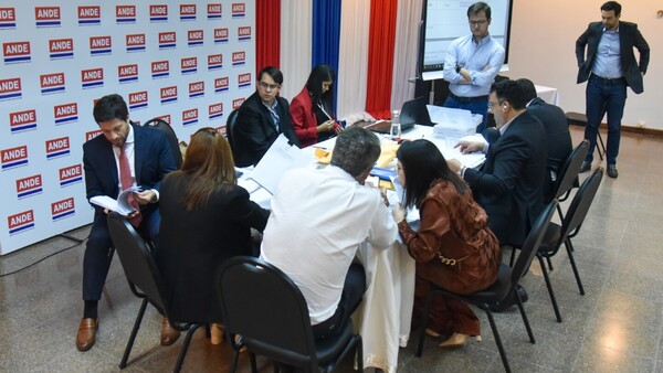 Once firmas pujan por venta de energía paraguaya en Brasil