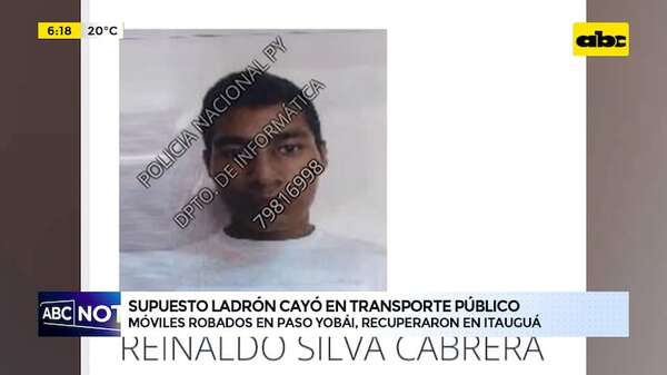 Video: Supuesto ladrón cayó en transporte público - ABC Noticias - ABC Color
