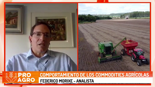 Alta volatilidad de precios de los commodities en las últimas semanas - Megacadena - Diario Digital