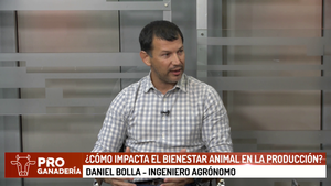 ¿Cómo impacta el bienestar animal en la producción? - Megacadena - Diario Digital