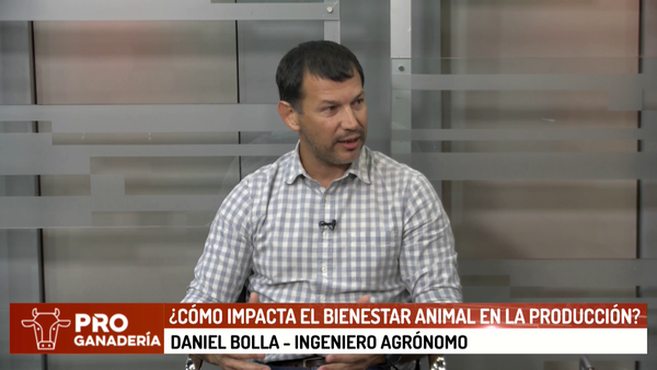 ¿Cómo impacta el bienestar animal en la producción? - Megacadena - Diario Digital