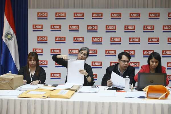 Reglas no están claras en concurso de precios, según agente brasileño - Economía - ABC Color