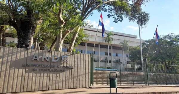 La Nación / Ande abrió sobres de 11 empresas