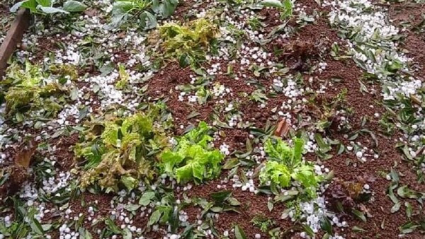 Video: Intenso temporal con caída de granizos azota a varias ciudades de Itapúa