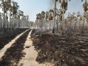 Focos de incendios ingresan a territorio chaqueño desde Bolivia - Noticias del Chaco - ABC Color