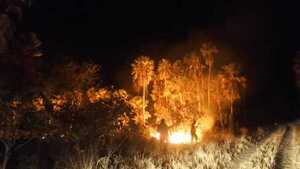 Bomberos combaten incendio forestal en la zona del Pantanal chaqueño
