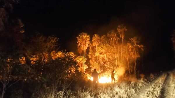 Bomberos combaten incendio forestal en la zona del Pantanal chaqueño