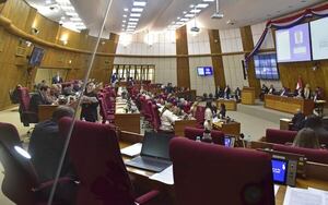 Control a ONG: diputados temen que Ley se convierta en garrote político - Política - ABC Color