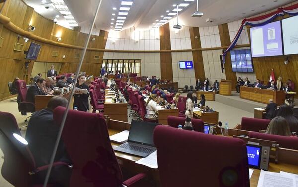 Control a ONG: diputados temen que Ley se convierta en garrote político - Política - ABC Color