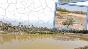Crisis del agua: Indígenas cavan pozos en busca de líquido vital