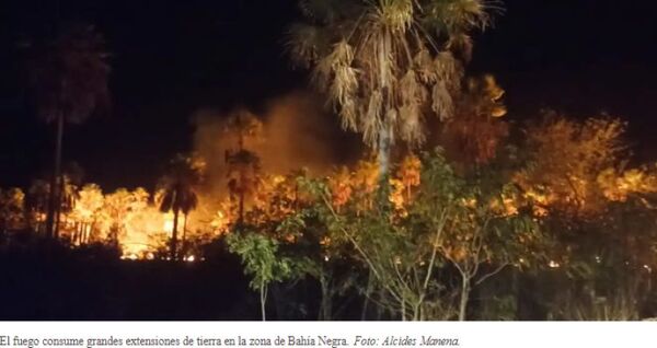 Bomberos combaten incendio forestal en la zona del Pantanal chaqueño