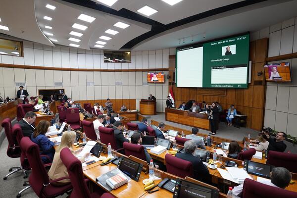 Senado plantea la creación y regulación de un fondo de seguro de asistencia al desempleo - MarketData