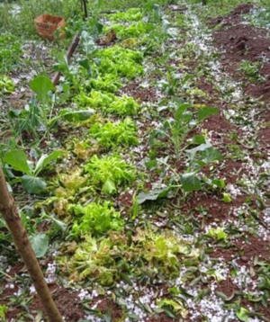 Temporal causó destrozos en varios distritos de Itapúa